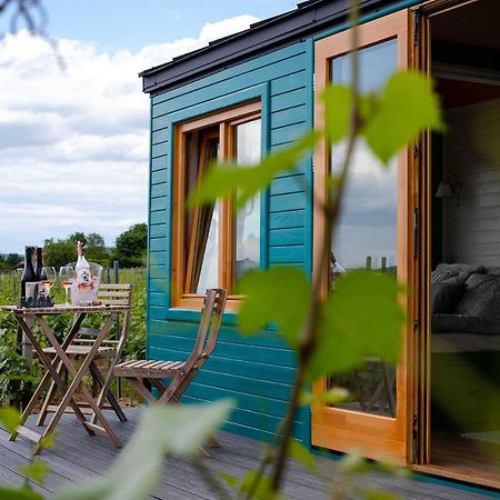 فندق Tiny House In The Vineyard By Gramofon Wine Iordachianu المظهر الخارجي الصورة