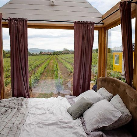 فندق Tiny House In The Vineyard By Gramofon Wine Iordachianu المظهر الخارجي الصورة