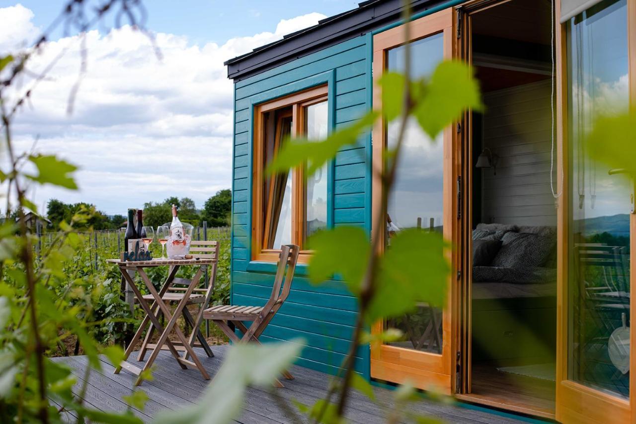 فندق Tiny House In The Vineyard By Gramofon Wine Iordachianu المظهر الخارجي الصورة