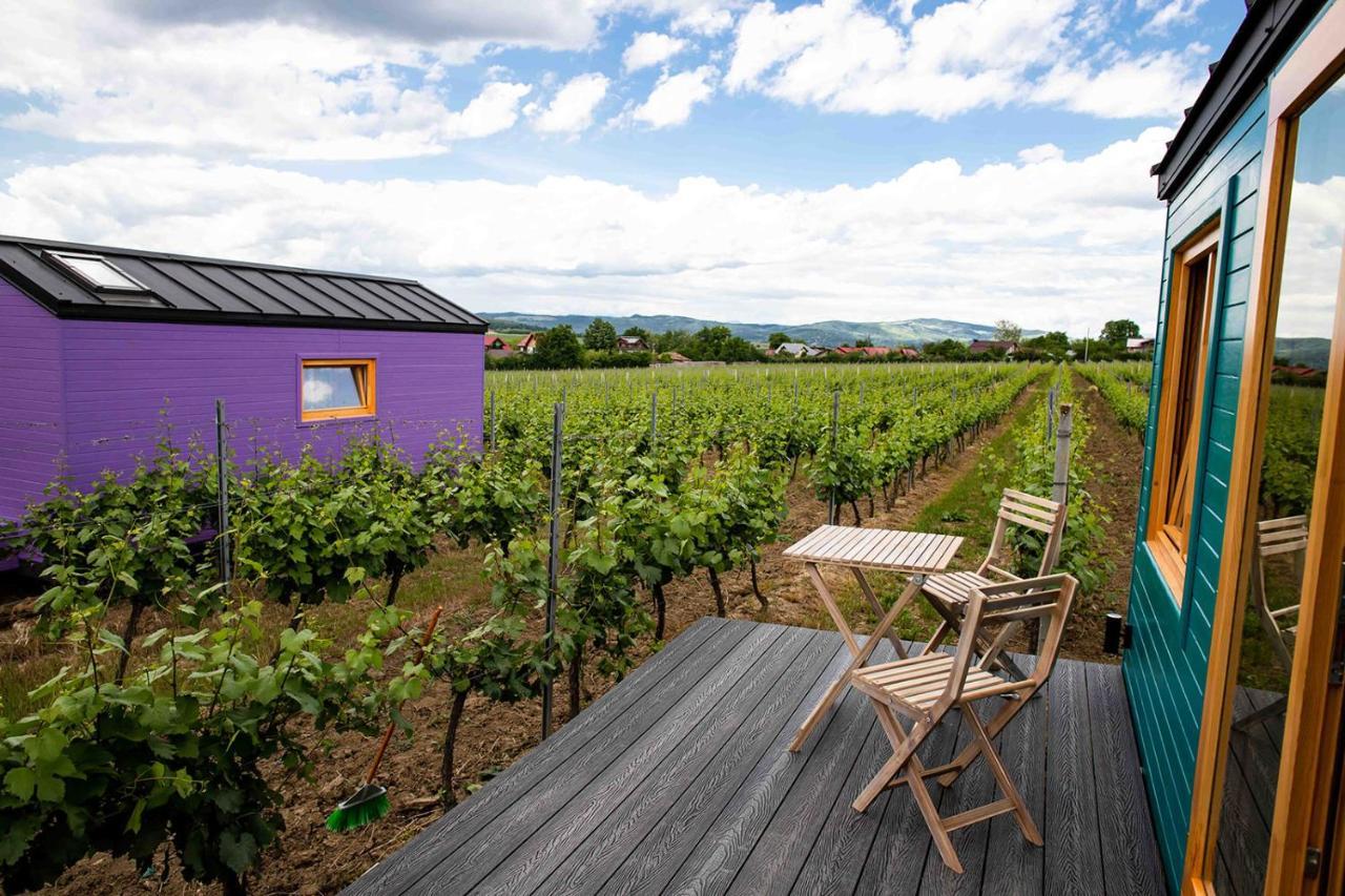 فندق Tiny House In The Vineyard By Gramofon Wine Iordachianu المظهر الخارجي الصورة