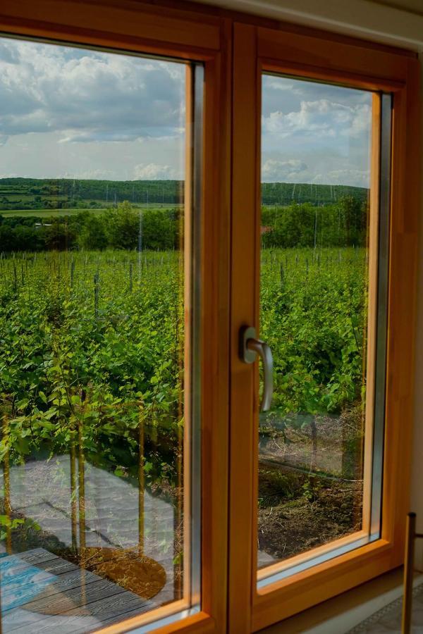 فندق Tiny House In The Vineyard By Gramofon Wine Iordachianu المظهر الخارجي الصورة