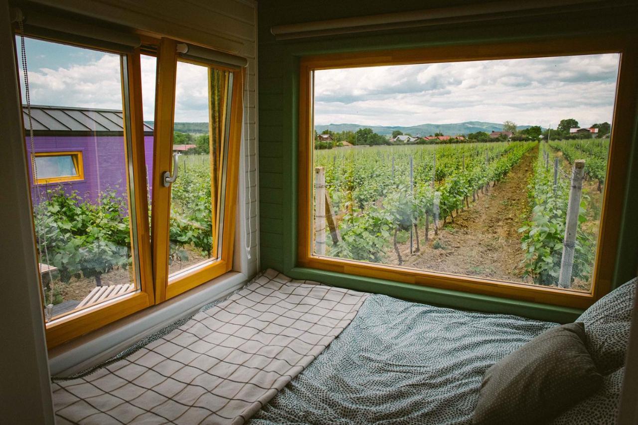 فندق Tiny House In The Vineyard By Gramofon Wine Iordachianu المظهر الخارجي الصورة