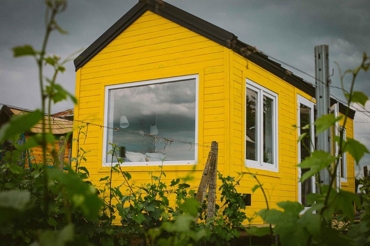 فندق Tiny House In The Vineyard By Gramofon Wine Iordachianu المظهر الخارجي الصورة