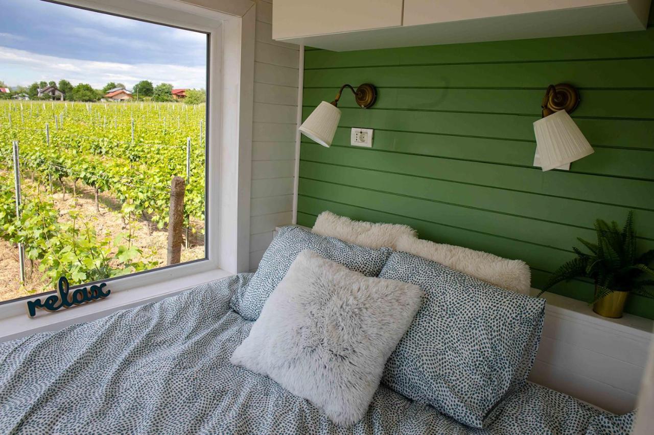 فندق Tiny House In The Vineyard By Gramofon Wine Iordachianu المظهر الخارجي الصورة
