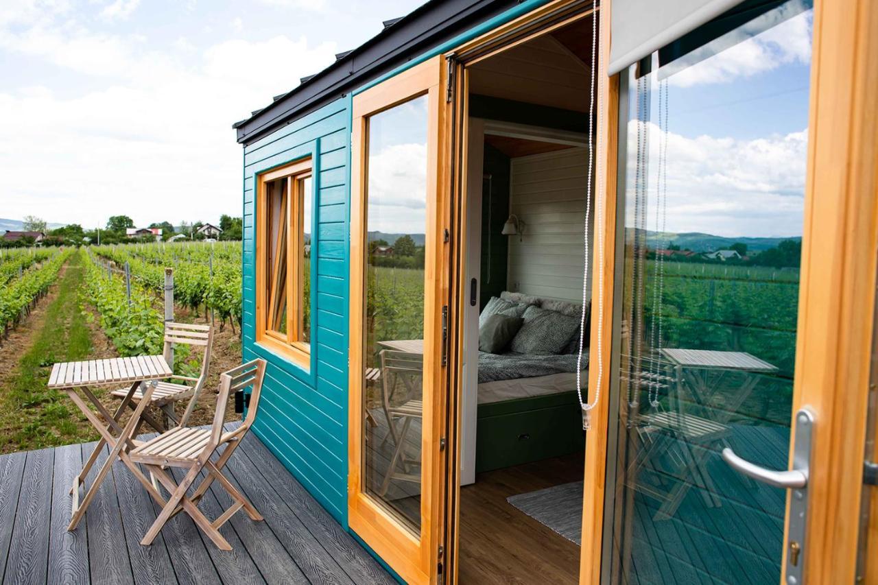 فندق Tiny House In The Vineyard By Gramofon Wine Iordachianu المظهر الخارجي الصورة