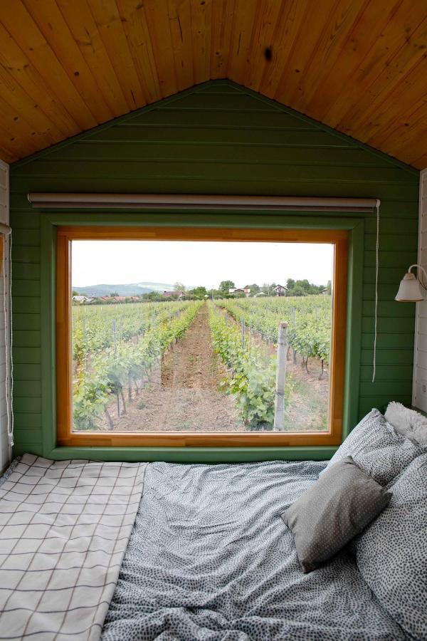 فندق Tiny House In The Vineyard By Gramofon Wine Iordachianu المظهر الخارجي الصورة