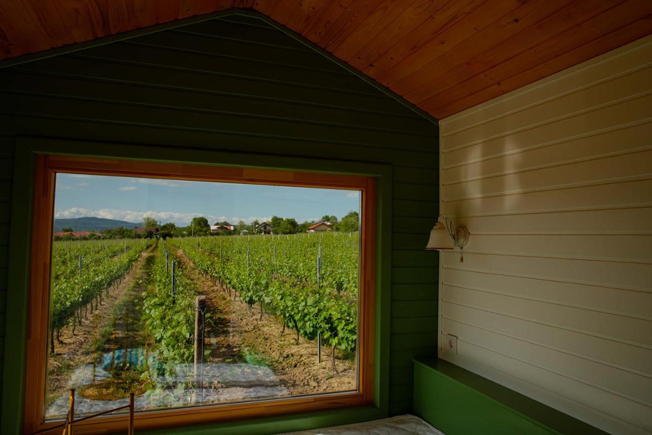 فندق Tiny House In The Vineyard By Gramofon Wine Iordachianu المظهر الخارجي الصورة