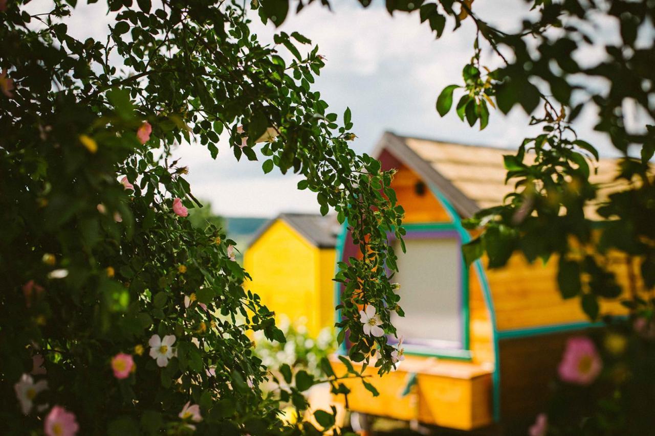 فندق Tiny House In The Vineyard By Gramofon Wine Iordachianu المظهر الخارجي الصورة