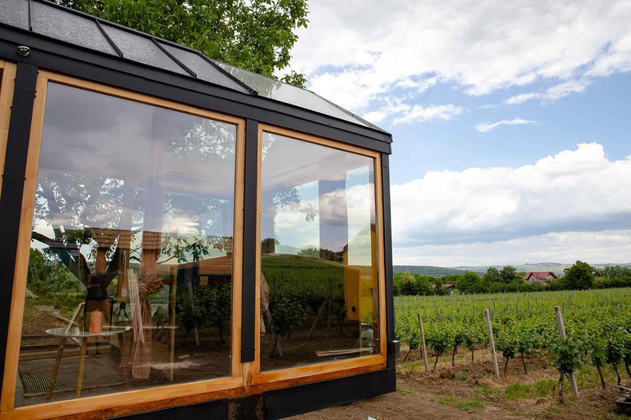 فندق Tiny House In The Vineyard By Gramofon Wine Iordachianu المظهر الخارجي الصورة