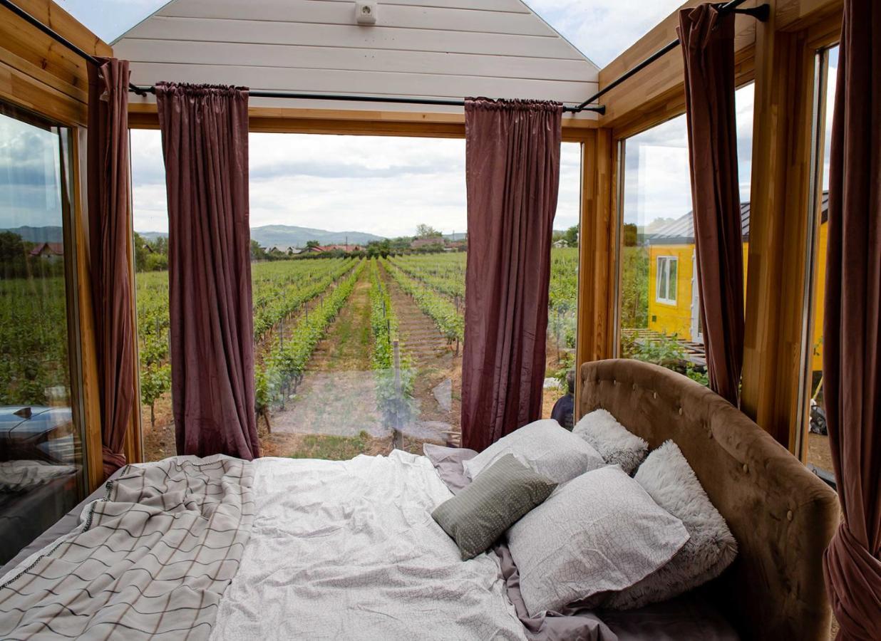 فندق Tiny House In The Vineyard By Gramofon Wine Iordachianu المظهر الخارجي الصورة
