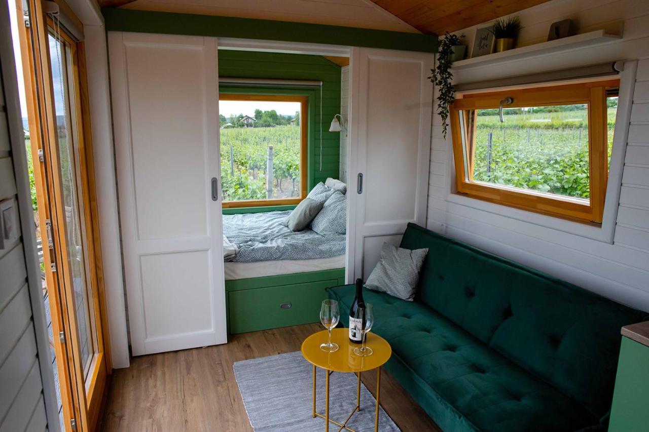 فندق Tiny House In The Vineyard By Gramofon Wine Iordachianu المظهر الخارجي الصورة