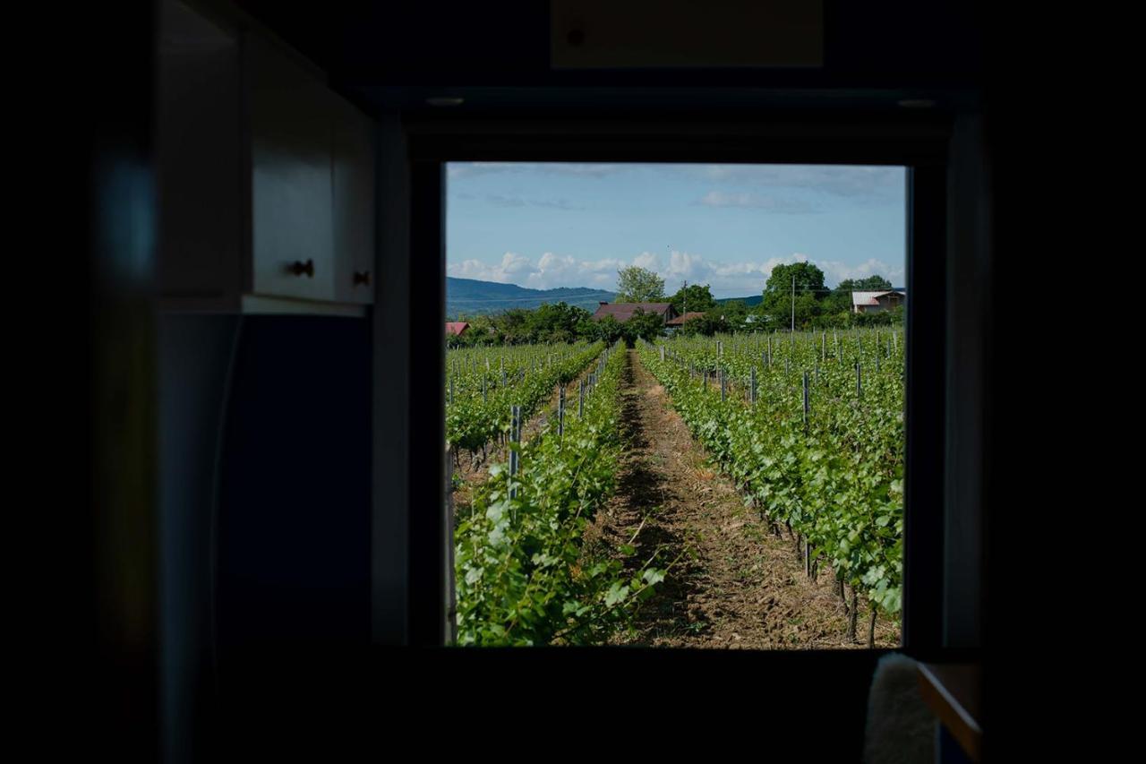 فندق Tiny House In The Vineyard By Gramofon Wine Iordachianu المظهر الخارجي الصورة