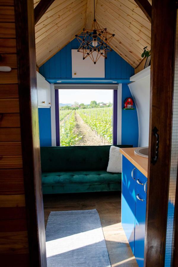 فندق Tiny House In The Vineyard By Gramofon Wine Iordachianu المظهر الخارجي الصورة