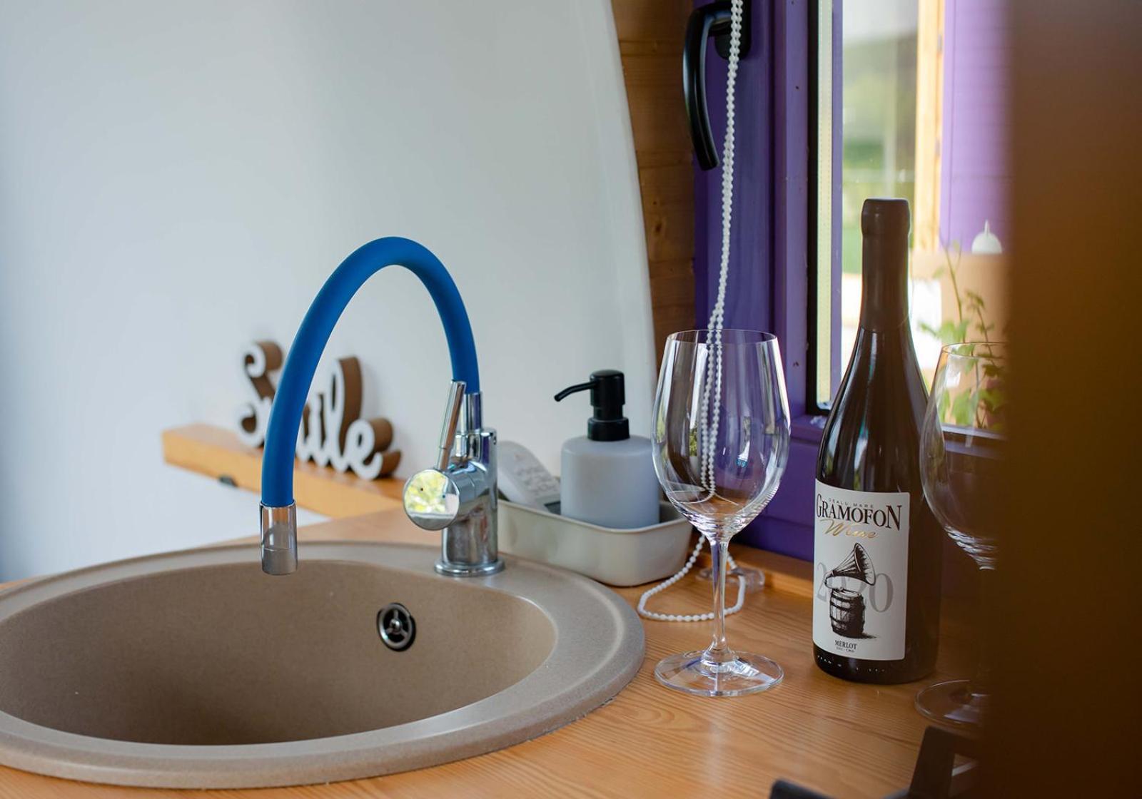 فندق Tiny House In The Vineyard By Gramofon Wine Iordachianu الغرفة الصورة