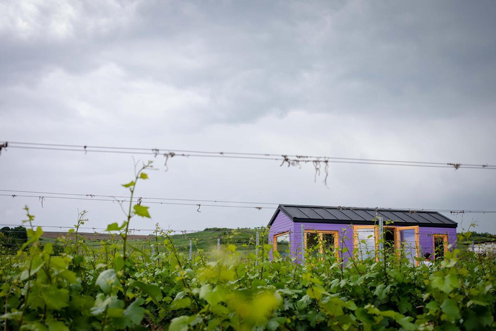 فندق Tiny House In The Vineyard By Gramofon Wine Iordachianu الغرفة الصورة