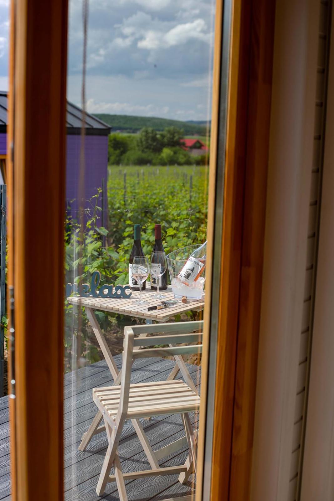 فندق Tiny House In The Vineyard By Gramofon Wine Iordachianu الغرفة الصورة