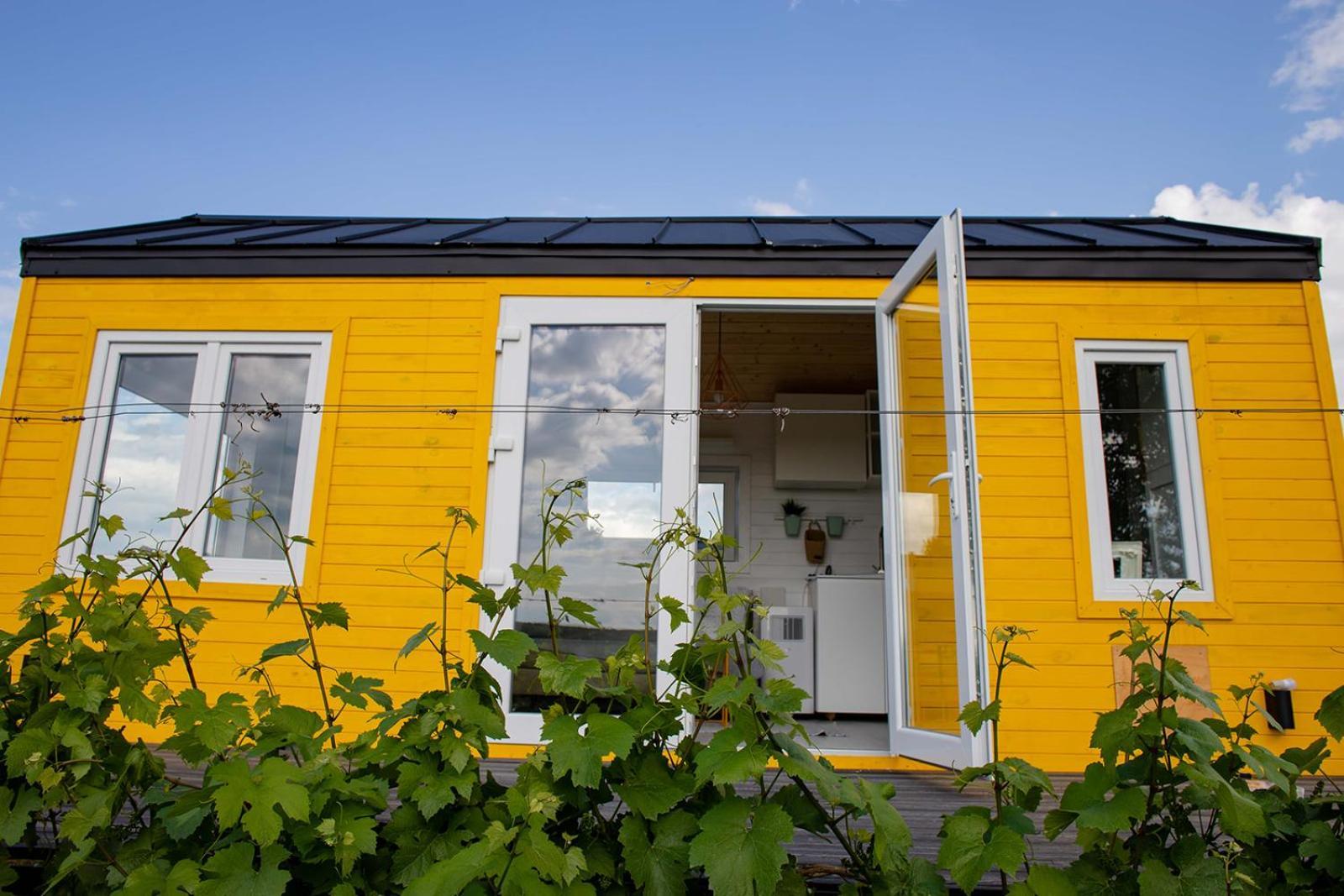 فندق Tiny House In The Vineyard By Gramofon Wine Iordachianu الغرفة الصورة