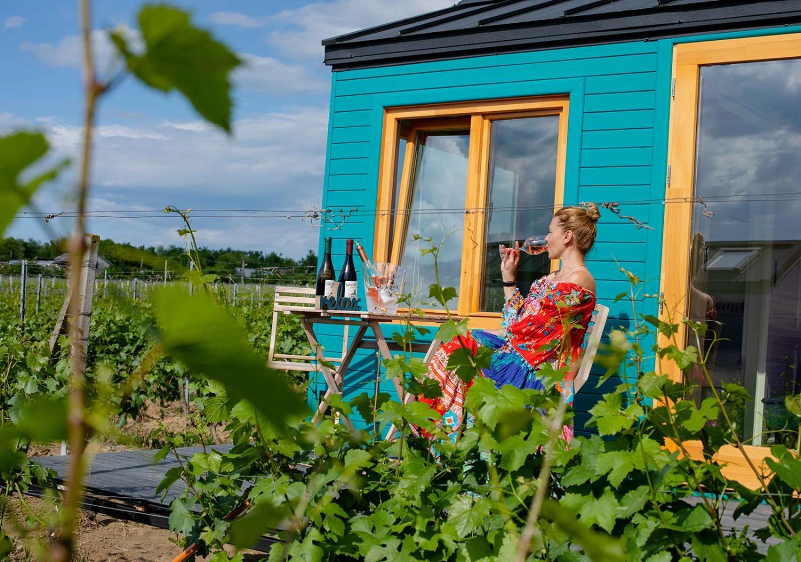 فندق Tiny House In The Vineyard By Gramofon Wine Iordachianu الغرفة الصورة