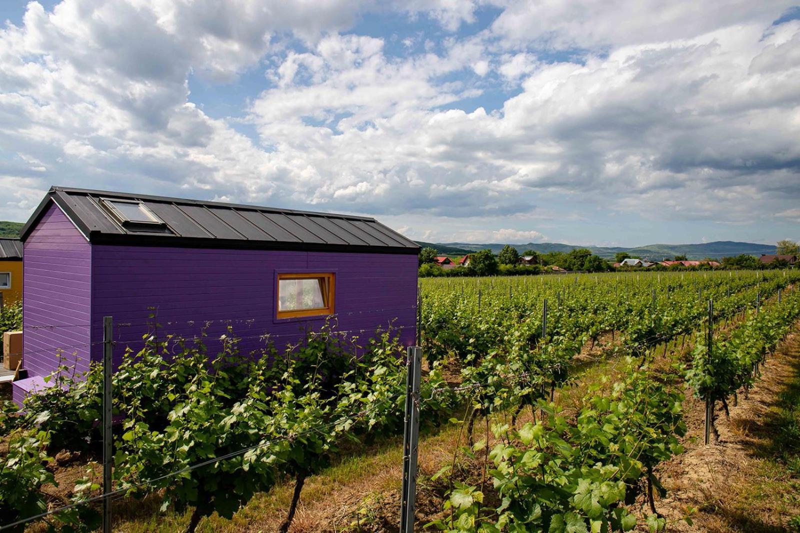 فندق Tiny House In The Vineyard By Gramofon Wine Iordachianu الغرفة الصورة