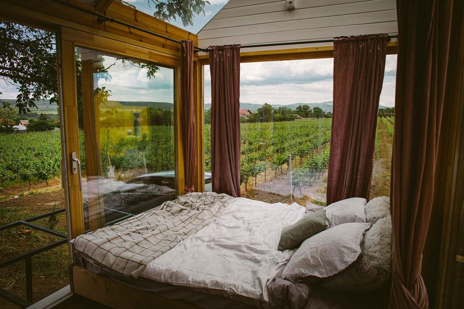 فندق Tiny House In The Vineyard By Gramofon Wine Iordachianu الغرفة الصورة
